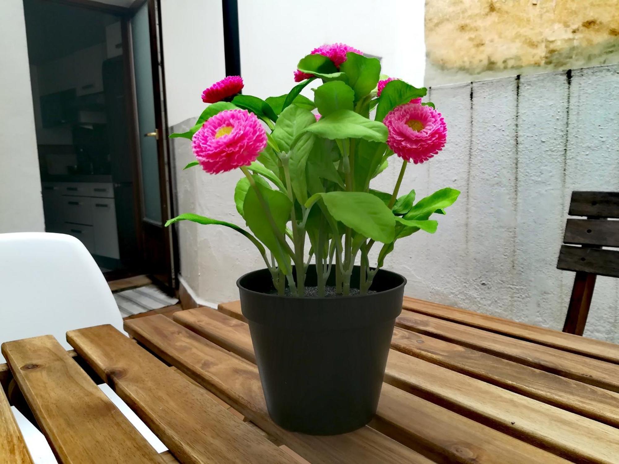Apartamento Oasis Galindo Nice Flat Sevilha